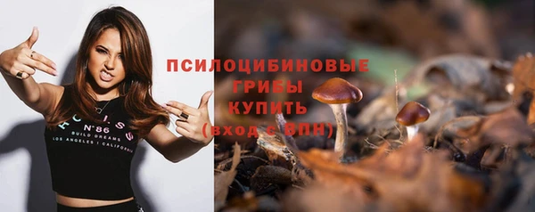 тгк Абаза