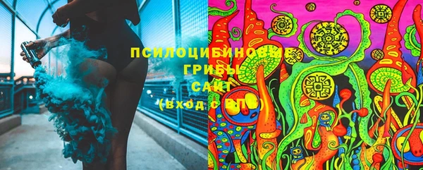шишки Алзамай