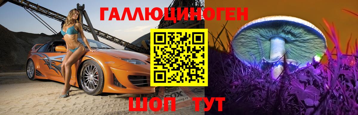 Якутск  Галлюциногенные грибы Psilocybine cubensis  Вход с VPN 